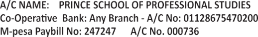 Sachem Kenya Website Builder 0726944234